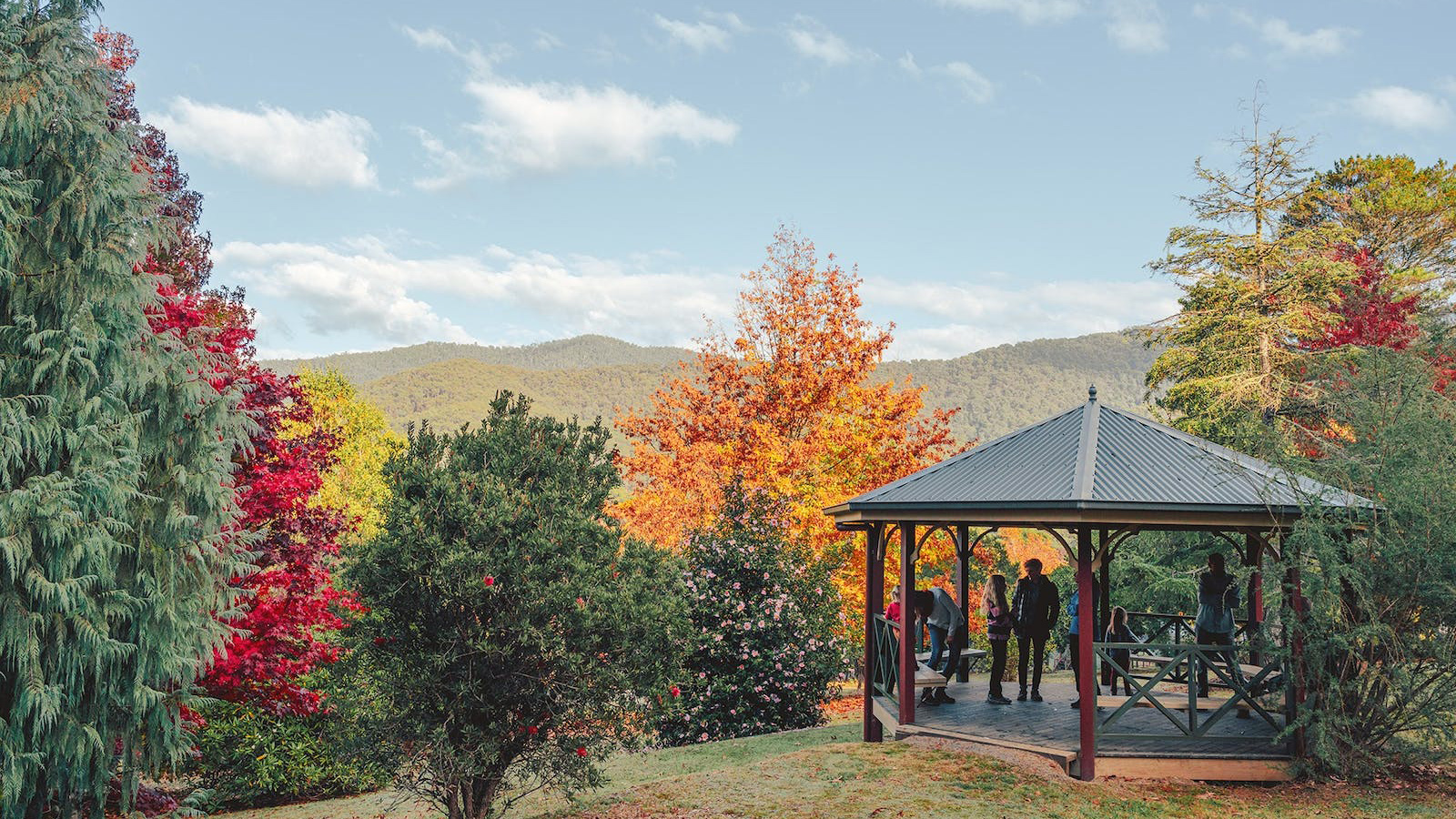 Jamieson Arboretum, High Country, Victoria, Australia