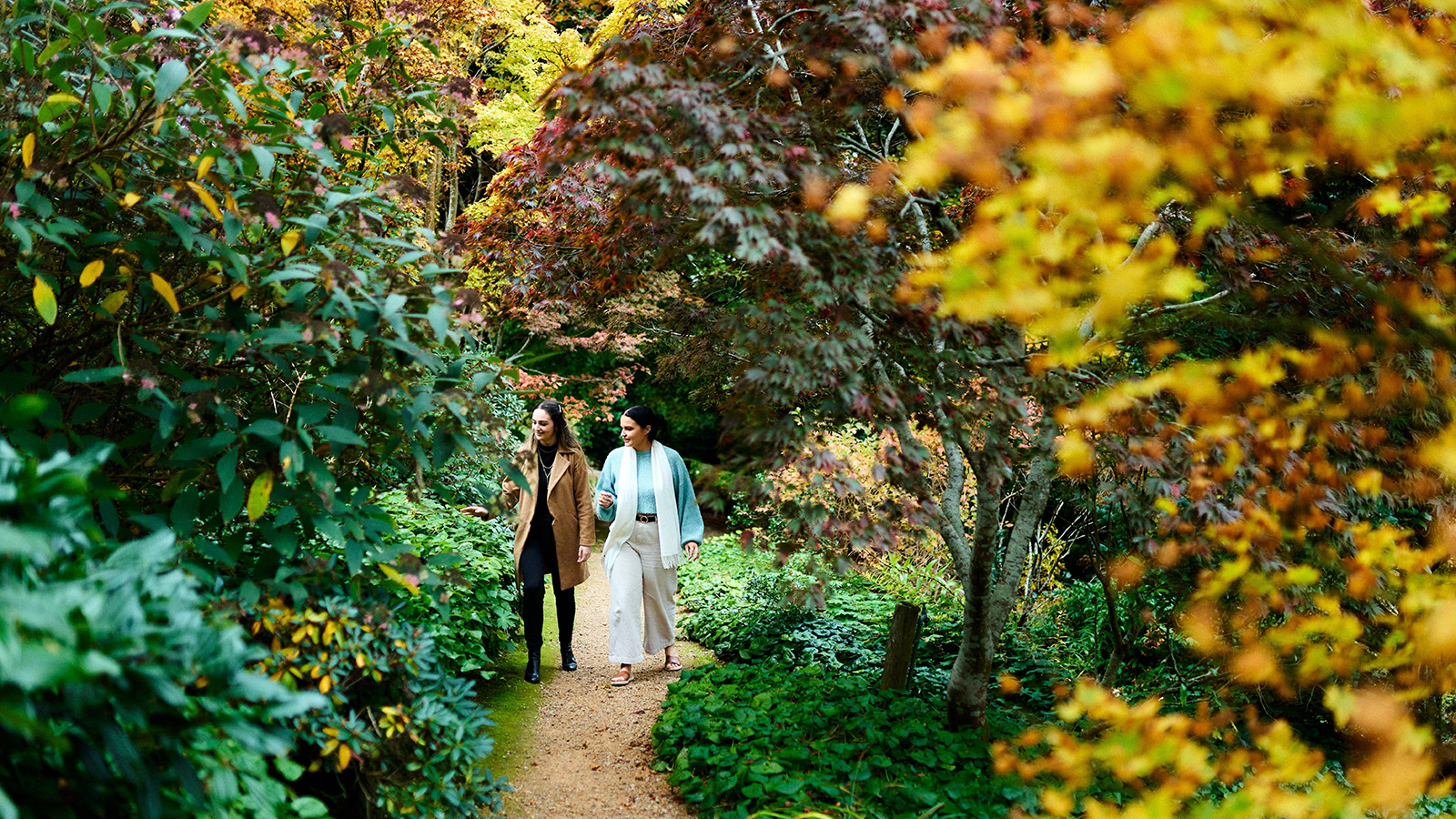 Cloudehill Gardens, Olinda, Dandenong Ranges, Victoria, Australia