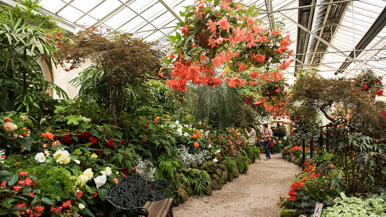 Fitzroy Gardens, Melbourne, Victoria