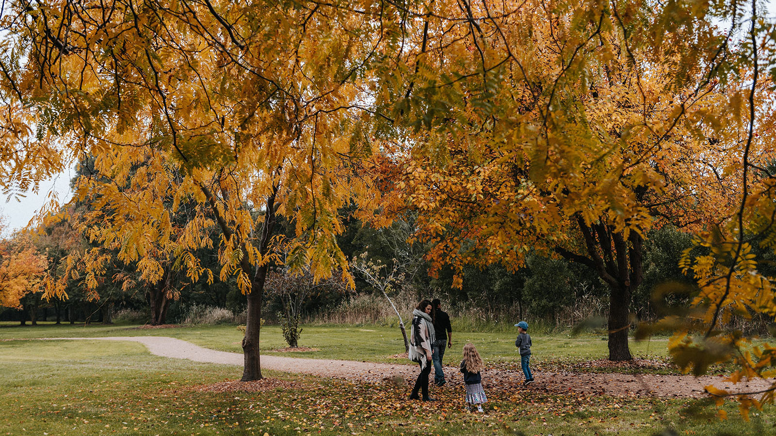 Moe Botanical Gardens, Gippsland, Victoria, Australia