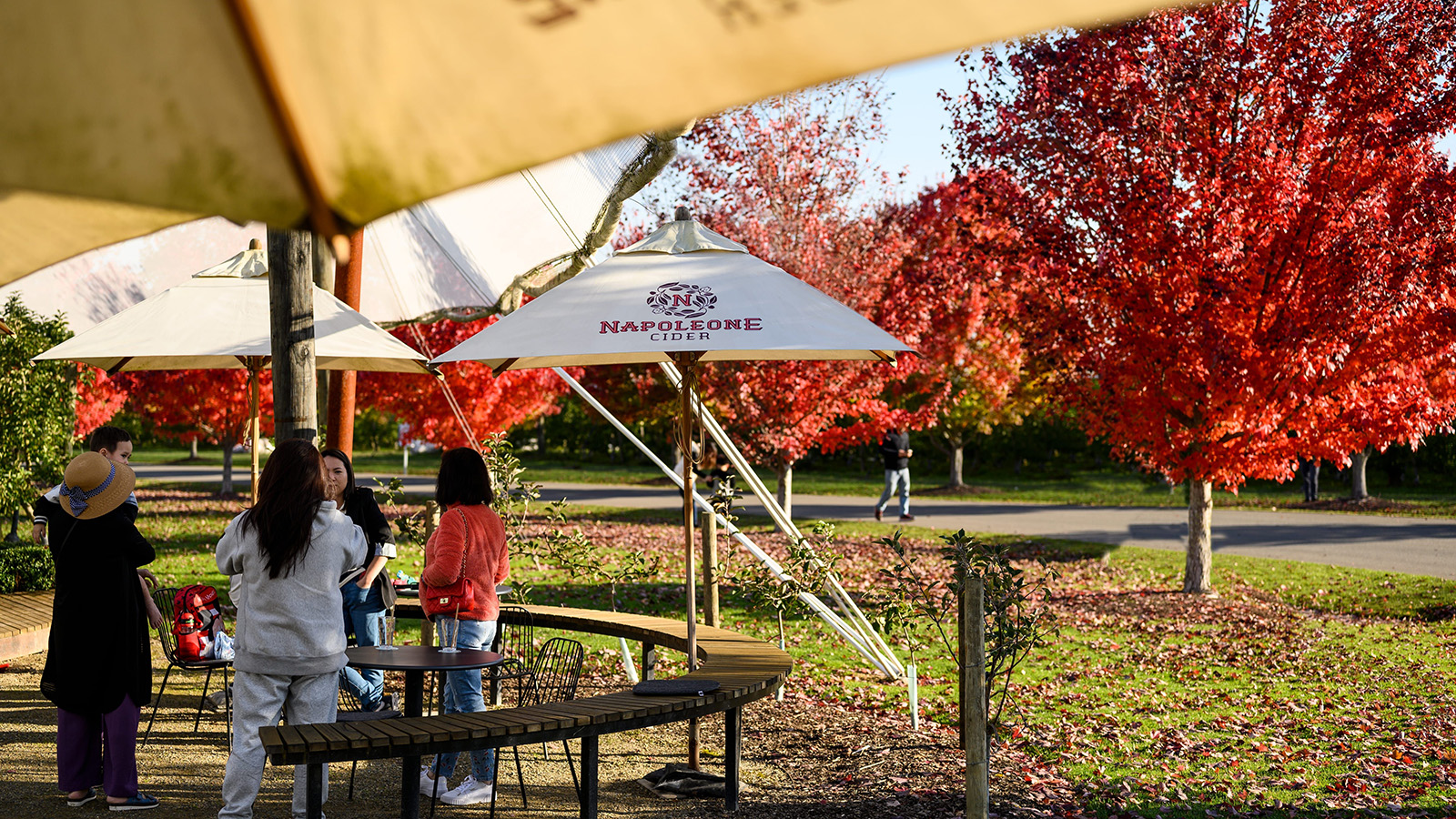 Napoleone Cider, Yarra Valley, Victoria, Australia