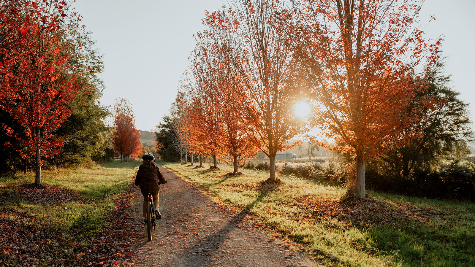 Cycling in Warburton, Yarra Valley and Dandenong Ranges, Victoria, Australia